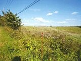 青森県上北郡東北町の競売物件 640万円 農地 57,480m&sup2;