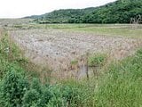 愛知県田原市の競売物件 31万円 農地 990m&sup2;