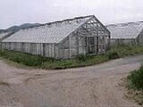 愛知県田原市の競売物件 61万円 農地 2,361m&sup2;