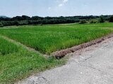 愛知県豊橋市の競売物件 97万円 農地 991m&sup2;