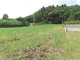 福岡県宮若市の競売物件 99万円 農地 6,355m&sup2;