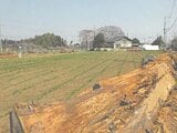 茨城県笠間市の競売物件 105万円 農地 1,543m&sup2;