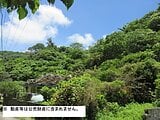 沖縄県名護市の国税庁公売物件 89万円 土地 1,214m&sup2;