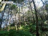 京都府京都市伏見区の国税庁公売物件 569万円 土地 137,364m&sup2;
