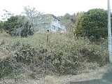 兵庫県川辺郡猪名川町の競売物件 302万円 土地 1,093m&sup2;