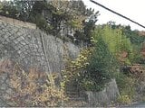 兵庫県西宮市の競売物件 307万円 戸建て 139m&sup2;