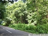 長野県佐久市の国税庁公売物件 35万円 土地 4,064m&sup2;