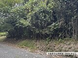 栃木県日光市の国税庁公売物件 36万円 土地 280m&sup2;
