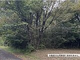 栃木県日光市の国税庁公売物件 39万円 土地 360m&sup2;