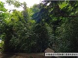神奈川県鎌倉市の国税庁公売物件 50万円 土地 271m&sup2;