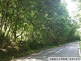 長野県佐久市の国税庁公売物件 50万円 土地 5,309m&sup2;