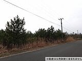 青森県上北郡六ヶ所村の国税庁公売物件 640万円 土地 15,162m&sup2;