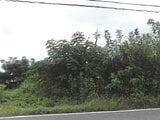 埼玉県児玉郡神川町の競売物件 47万円 農地 249m&sup2;