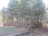千葉県茂原市の競売物件 78万円 土地 511m&sup2;