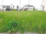 富山県魚津市の競売物件 69万円 土地 221m&sup2;