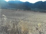 長野県南佐久郡川上村の競売物件 145万円 農地 2,421m&sup2;