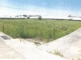 香川県善通寺市の競売物件 130万円 農地 2,106m&sup2;