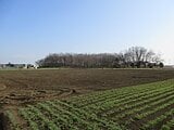 栃木県小山市の国税庁公売物件 24万円 農地 1,634m&sup2;