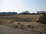栃木県小山市の国税庁公売物件 114万円 農地 2,977m&sup2;
