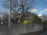 東京都三鷹市の競売物件 1億1,471万円 マンション 145m&sup2;
