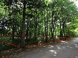 岩手県八幡平市の国有財産売却物件 255万円 土地 938m&sup2;