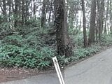 栃木県鹿沼市の競売物件 31万円 土地 661m&sup2;