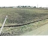 栃木県塩谷郡高根沢町の競売物件 37万円 農地 1,810m&sup2;