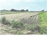 栃木県栃木市の競売物件 48万円 農地 2,571m&sup2;