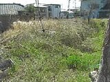 大分県別府市の競売物件 143万円 土地 215m&sup2;