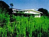 千葉県鴨川市の競売物件 363万円 戸建て 399m&sup2;