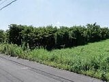 愛知県豊橋市の競売物件 72万円 農地 821m&sup2;
