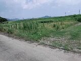 愛知県豊橋市の競売物件 27万円 農地 540m&sup2;