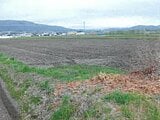 長野県松本市の競売物件 176万円 農地 4,198m&sup2;