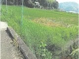 徳島県阿南市の競売物件 117万円 農地 2,444m&sup2;
