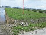 熊本県八代市の競売物件 103万円 農地 2,299m&sup2;