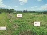 山梨県笛吹市の競売物件 114万円 農地 1,373m&sup2;