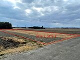 佐賀県佐賀市の国有財産売却物件 57万円 農地 940m&sup2;