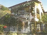 静岡県下田市の競売物件 70万円 戸建て 83m&sup2;