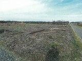 新潟県新潟市南区の競売物件 8万円 農地 449m&sup2;