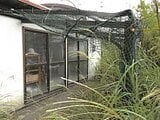 鹿児島県鹿児島市の競売物件 143万円 戸建て 26m&sup2;
