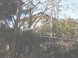 茨城県鹿嶋市の競売物件 105万円 戸建て 107m&sup2;