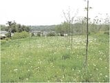 群馬県安中市の競売物件 804万円 農地 2,961m&sup2;