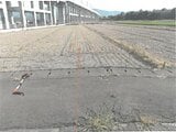 福井県越前市の競売物件 17万円 農地 483m&sup2;