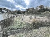 香川県綾歌郡綾川町の競売物件 101万円 農地 1,440m&sup2;