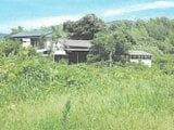 茨城県つくば市の競売物件 233万円 土地 1,812m&sup2;