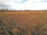 山形県新庄市の競売物件 76万円 農地 14,574m&sup2;