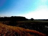 埼玉県桶川市の競売物件 23万円 農地 1,942m&sup2;