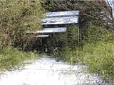 群馬県前橋市の競売物件 106万円 戸建て 231m&sup2;