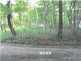栃木県那須郡那須町の競売物件 24万円 土地 429m&sup2;