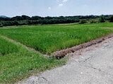 愛知県豊橋市の競売物件 68万円 農地 991m&sup2;
